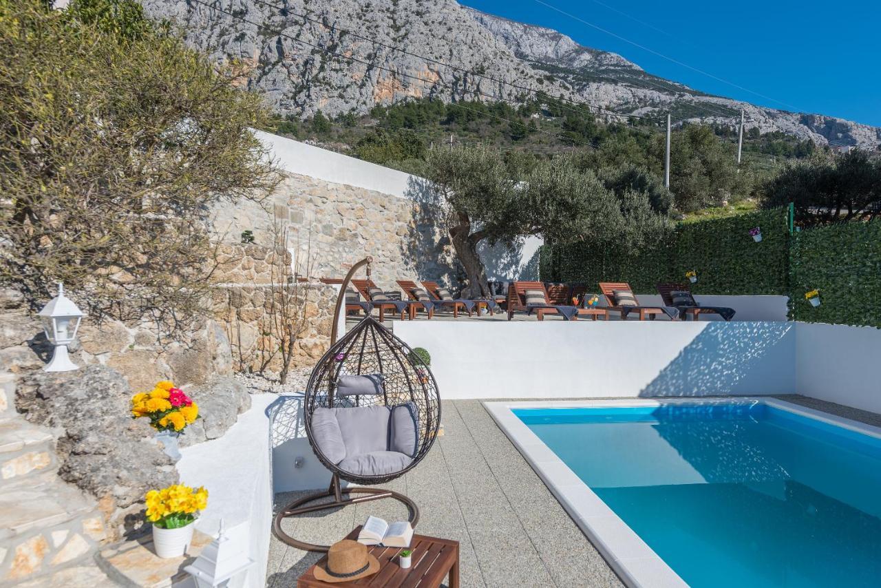 Villa Petra Apartment With Private Pool Makarska Zewnętrze zdjęcie